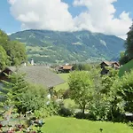 Stüttler 3*
